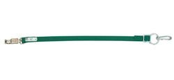 PFIFF 005010-20-1 Bull Longe d'attache pour camion Vert