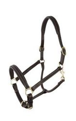 PFIFF Platine, Licol en Cuir Marron Poole, Full