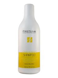 firstline shampoing antigrasso matériel