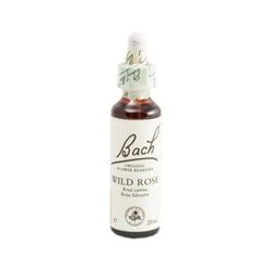 Bach - Wild Rose - 20 ml