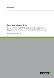 Euro-Raum in der Krise: Jahresgutachten 2010/11 des Sachverständigenrats zur Begutachtung der gesamtwirtschaftlichen Entwicklung