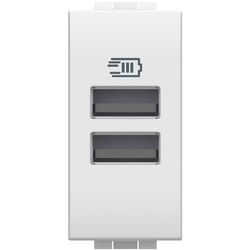 Bticino N4191AA USB Charger met Twee Type A Inputs, Voor Installatie in Livinglight-Plaat, Voor Het Opladen van Een Elektronisch Apparaat tot 15 W of twee apparaten tegelijkertijd, 1 Ruimte, Wit
