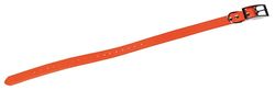 JANUEL - Collier Chien Sangle Polyester Enduite PU Souple - Longueur 55cm x Largeur 25mm - Orange