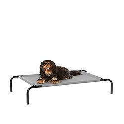 Amazon Basics Verkoelend verhoogd huisdierbed voor honden, maat S, 90 x 55 x 19 cm (l x b x h), grijs
