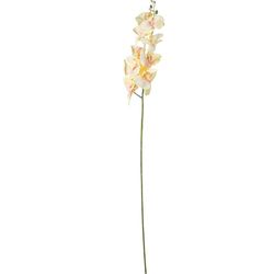 DRW Lot de 6 Branches d'orchidée en Polyester Blanc 1 x 1 x 100 cm