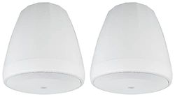 JBL à Suspendre Pendentif Caisson de Basses 6.5" Driver Blanc