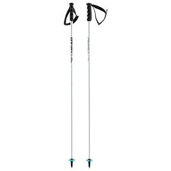 HEAD Bâtons de Ski Worldcup SL Skistöcke Unisexe-Adulte, Blanc, 135