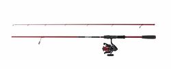 PENN Combo PENN Fierce IV Labrax, Ensemble canne et moulinet bonement assortis pour la pêche au bar, 4+1 roulements à billes en acier inoxydable, blank en carbone léger, solide mais sensible