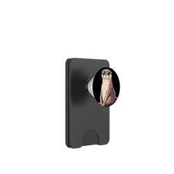 Divertido disfraz de nutria y sol está fuera con estas divertidas gafas de sol PopSockets PopWallet para MagSafe