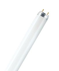 WatioWave T8 lysrör, 18 W, 590 mm, klass B, 550 lm, livslängd på 20 000 timmar, perfekt för kontors- och butiksbelysning.