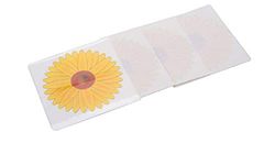 Best Price Square Window Fly Trap, Flower, 4PK BPSCA 195398 - SI16864 di FIXMAN