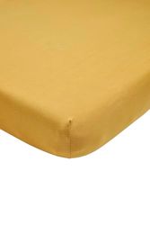 Meyco Home Basic Jersey sábana Bajera Individual Cama Doble (sábana Bajera Jersey Suave, de algodón 100%, Dimensiones: 160 x 200 cm), Oro Miel