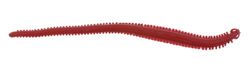 Berkley Gulp! Alive! Sandworm, Bloody, 15,2 cm, 15,2 cm, 15,2 cm – pinta 10,2 x 17,
