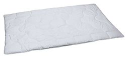 Schlafkult® Effetto Sonno A1000 Estate Perfect Micro Coperta, in Microfibra, Bianco, Microfibra, Bianco, 220 x 155 x 4 cm