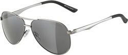 ALPINA Unisexe - Adultes, A 107 Lunettes de soleil, titanium matt, One Size