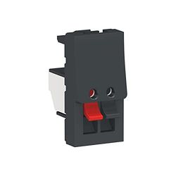 Toma altavoz 1 mod. Antracita