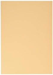 Clairefontaine 97464C Fotokarton, 25 vellen Premium, DIN A4, 21 x 29,7 cm, 300 g, abrikoos
