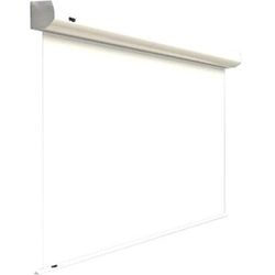 Orion False Ceiling Pro White Matt 16:10 250X400