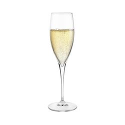 KASANOVA Set of 6 Champagne Io Wine Table Glasses