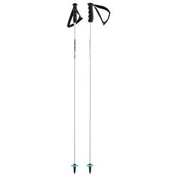 HEAD Worldcup Rebels Carbonio, Bastoncini da Sci Unisex, Bianco, 110 cm