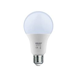 Debflex 600429 - Lampadina LED A80 E27, 6500 Kelvin