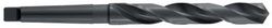 TIVOLY 11437911700 - Punta HSS T Line tagliata molata, coda, cono morso corto, diametro 17 mm