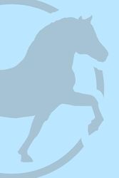 Pony Journal: Capture all your barn activities in this convenient notebook