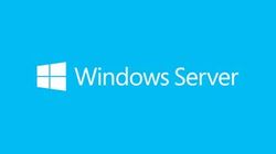 Microsoft 803DBP4 Server CAL 2019 Italian 1pk DSP OEI 5 Clt Device