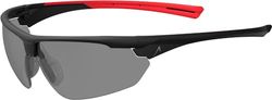 ACE Evo okulary ochronne, przyciemniane, 1 sztuka