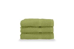 Gabel Lot de 3 Serviettes d'hôte, éponge de Pur Coton hydrophile, 40 x 60 cm, Mousse