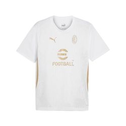 PUMA Camiseta de Entrenamiento de competición, Temporada 2024/25, tecnología dryCell, Ajuste Regular Unisex – Adulto