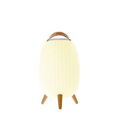 EZIlight 3760190144836 Lanterna Nomade Musicale Ambiente, Bianco
