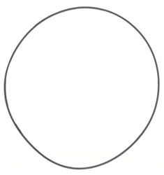 O-RING