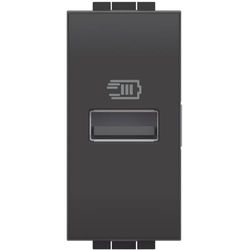 Bticino L4191A Cargador USB con una Entrada Tipo A para Instalar en la Placa Livinglight, para Cargar Dispositivos electrónicos de hasta 15 W, 1 módulo, Antracita