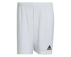 adidas Homme Ent22 Shorts, Blanc, XL EU