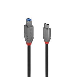 LINDY 2 m USB 3.1-kabel, USB-C hane till USB B 3.0 hane typ B, för MacBook Pro/Air, extern hårddisk, skanner, skrivare, dockningsstation