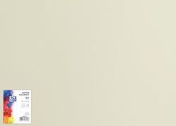 OXFORD Cartón de dibujo de 50 x 70 cm/cartón para manualidades, DIN B2, cartón B2, papel para manualidades, 225 g/m², cartón Bristol, 25 hojas, gris claro, 25 unidades