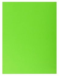 Exacompta - Ref. 415003E ROCK''S - Cartón de 250 camisas de doble bolsillo (210 g/m²), color brillante - camisas certificadas PEFC™ - 24 x 32 cm para documentos A4 - verde