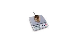 BASCULA DE PRECISION: RANGO 5KG/PRECISION 0,01-1G COVETRUS
