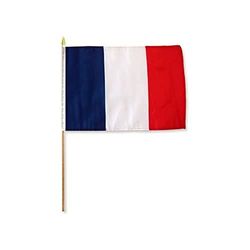 PACCO 10 BANDIERE FRANCIA 45x30cm con asta di legno - BANDIERA FRANCESE 30 x 45 cm - AZ FLAG