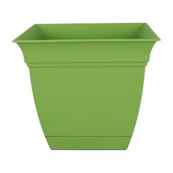 The HC Companies macetas, peridoto Verde, 6 Pulgadas