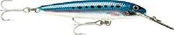 Rapala CDMAG11 BSRD, Esche Artificiali da Pesca Unisex-Adult, Blue Sardine, 11 cm / 24 g