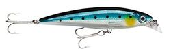 Rapala X-Rap Saltwater 10 Blue Sardine, unissexo, 120 mm (22 gr), 13 g