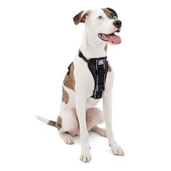 Kurgo Tru Fit Harnais pour Chien Actif Intelligent Boucles Ouverture Fermeture Facile Taille Medium