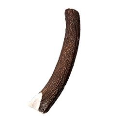Wildes Land Demi-Os Cerf Taille XL
