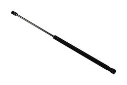 TarosTrade 229-0189-N-74742 Amortecedor de ar para tampa traseira ou porta traseira