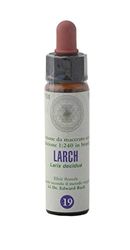 Larch n° 19 Flores de Bach Original farmaflor