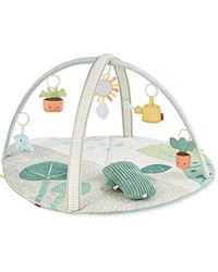 Skip Hop- Arco de Juego, Color Gimnasio Garden Oasis, 0 (CK-ke-153)
