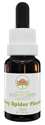 Australian Bush Flower Essences grey Spider Flower 15ml