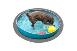 andiamo Tapis de Gazon Artificiel Field avec Picots - Gazon Artificiel d'extérieur à Utiliser comme revêtement de Sol de Balcon ou Tapis de Piscine - Résistant aux intempéries - Anthracite - 395 cm